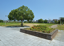 宮の池公園