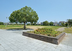 宮の池公園