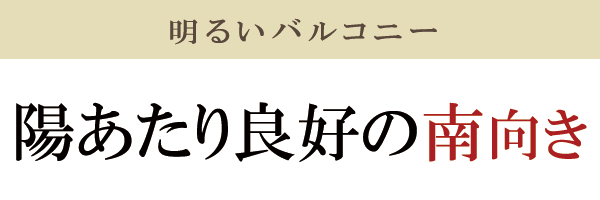 陽当たり良好の南向き