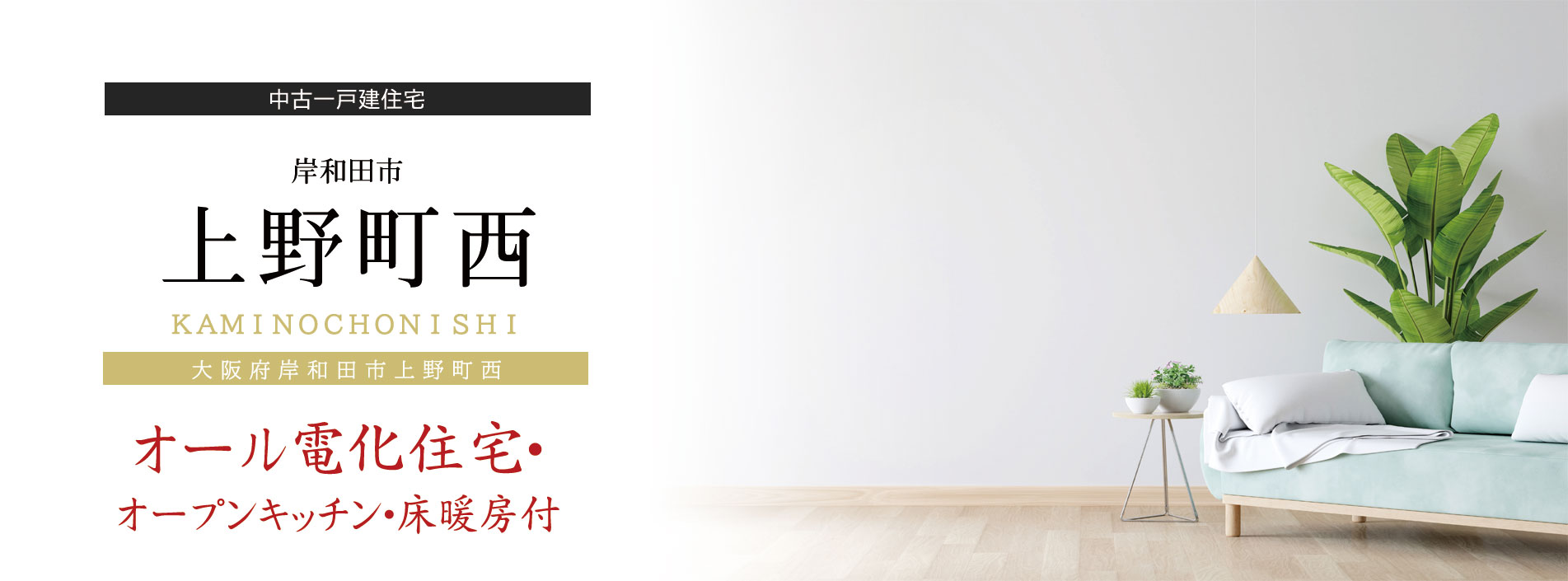 上野町西中古戸建