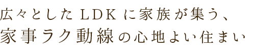 広々としたLDKに家族が集う、 家事ラク動線の心地よい住まい
