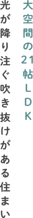 大空間の21帖LDK。光が降り注ぐ吹抜けがある住まい