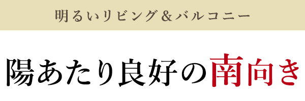 人気の便利な設備付き　食洗機付きアイランドキッチン・カワック・ウォシュレットetc