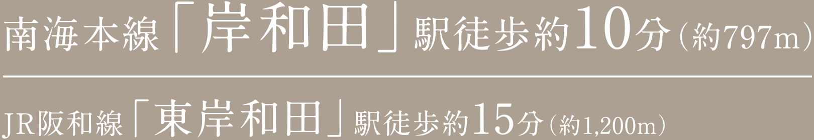 南海本線「岸和田」駅徒歩約10分